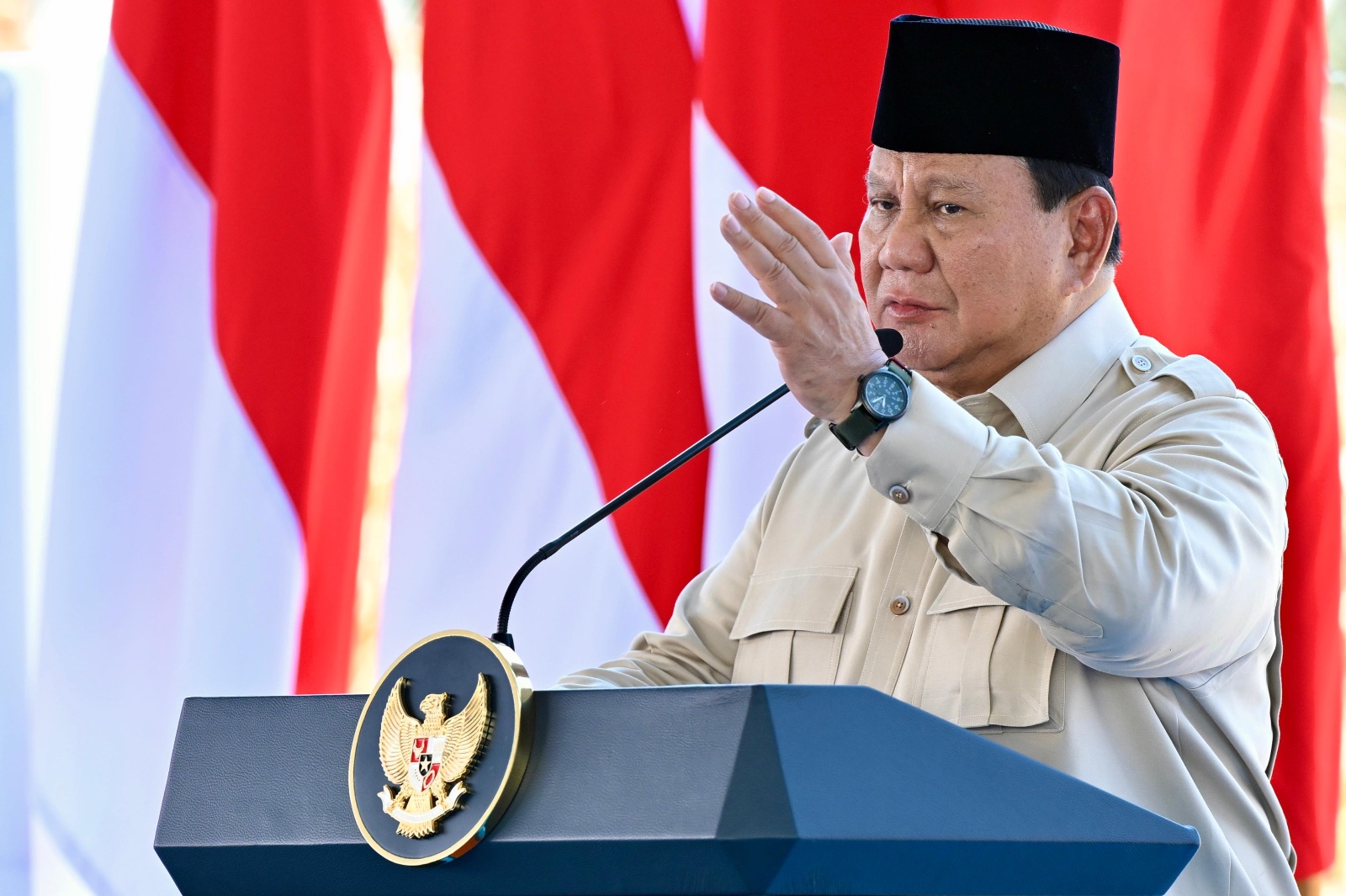 Presiden Prabowo Tegaskan Bantuan Pangan ke Palestina sebagai Diplomasi Kemanusiaan