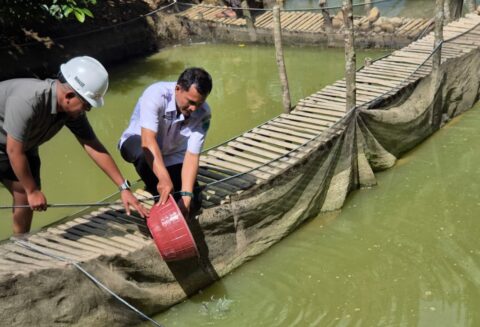 Dukung Program Swasembada Ikan di Kabupaten Lahat, PT SMS Panen Perdana Budidaya Lele