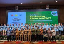 Tingkatkan Produktivitas Kebun, BPDP Dukung Pelatihan Budidaya Pekebun Sawit Bengkalis Riau
