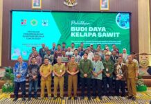 Produktivitas Sawit Rakyat Bengkalis Rendah, BPDP Bersama Ditjenbun dan PT SIB Gelar Pelatihan Budidaya