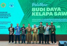 Tingkatkan Produktivitas Sawit Rakyat Bengkalis, SDM Pekebun Jadi Investasi Penting