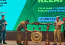 Produktivitas Sawit Rakyat Rendah, Riau Dorong Pekebun Naikkan Standar Budidaya
