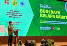 Pelatihan Sawit Bengkalis Tak Sekadar Teori, BPDP, Ditjenbun, PT SIB Perkuat Praktik Budidaya Pekebun