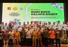 Atasi Lahan Terbatas, BPDP, Ditjenbun dan PT SIB Gelar Pelatihan Sawit Pekebun Rokan Hilir