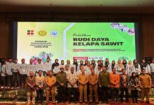 Atasi Berbagai Tantangan, BPDP, Ditjenbun dan PT SIB Gelar Pelatihan Budidaya Sawit Pekebun Rokan Hilir