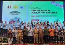 Sawit Berkelanjutan Jadi Penopang Ekonomi, BPDP Dorong Pekebun Rokan Hilir Naik Kelas