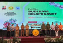Tingkatkan Produktivitas, BPDP, Ditjenbun dan PT SIB Gelar Pelatihan Budidaya Sawit Pekebun Rokan Hilir