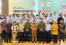 BPDP, Ditjenbun dan PT SIB Perkuat Kapasitas Pekebun Sarolangun melalui Pelatihan ISPO