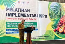 BPDP Bersama Ditjenbun dan PT SIB Gelar Pelatihan ISPO, Pekebun Sawit Jambi Naik Kelas