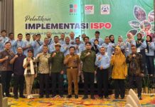 Membangun Tata Kelola Sawit Berkelanjutan, BPDP, Ditjenbun dan PT SIB Gelar Pelatihan ISPO Pekebun Sarolangun Jambi
