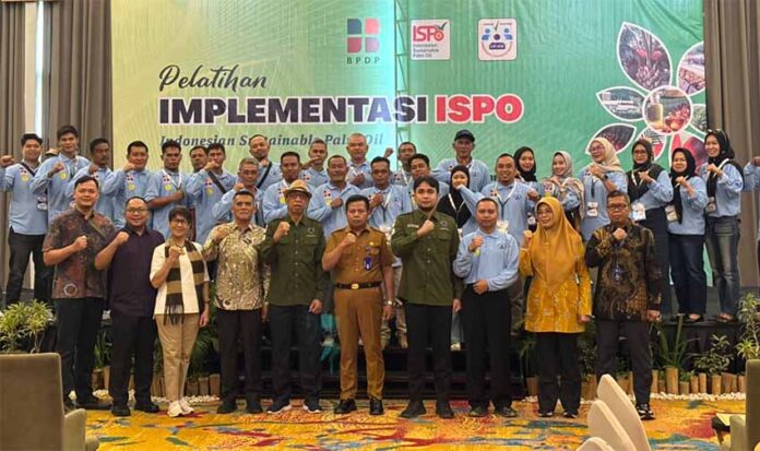 jambi 3