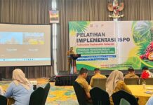 BPDP Bersama Ditjenbun dan PT SIB Adakan Pelatihan ISPO, Tingkatkan Produktivitas dan Daya Saing