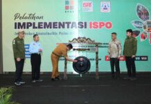 Hadapi Tuntutan Pasar, BPDP, Ditjenbun dan PT SIB Gelar Pelatihan ISPO Pekebun Tanjung Jabung Barat