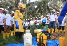 BPDP – Ditjenbun dan TRIC Perkuat SDM Pekebun Pasangkayu, 59 Peserta Ikuti Pelatihan Implementasi ISPO di Sulawesi Barat