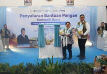 Bulog Luncurkan Kemasan Baru Beras Kita Medium