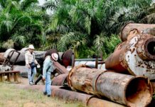 Lelang Aset Hulu Migas PHR di Siak Tambah Penerimaan Negara Rp11,01 Miliar