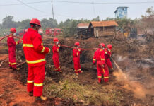 Kepala BPGMN Fokus Tekan Karhutla dan Pulihkan Ekosistem Gambut