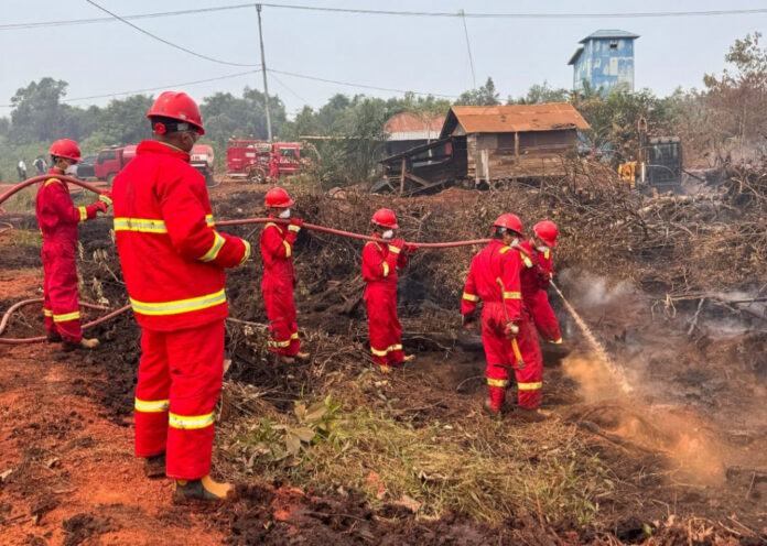 karhutla Kalimantan Tengah