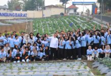 Kemnaker Bidik 70 Persen Lulusan Vokasi Bekerja