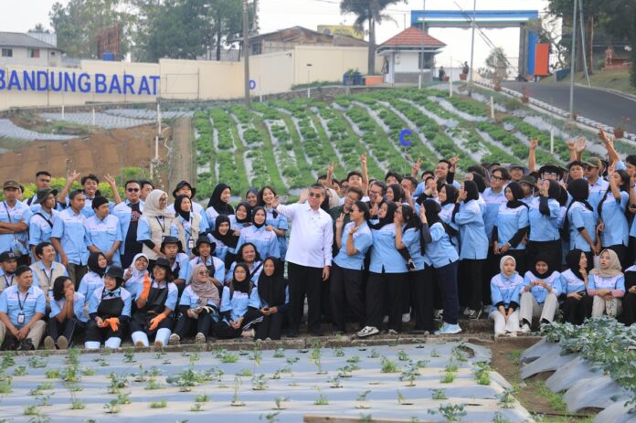 pelatihan vokasi nasional